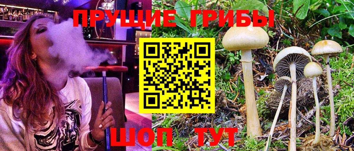 Белая Калитва  Галлюциногенные грибы мухоморы  Вход с VPN  Псилоцибиновые грибы Psilocybe 